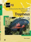 Afrikanische Buntbarsche 2. Tanganjika 1. Tropheus