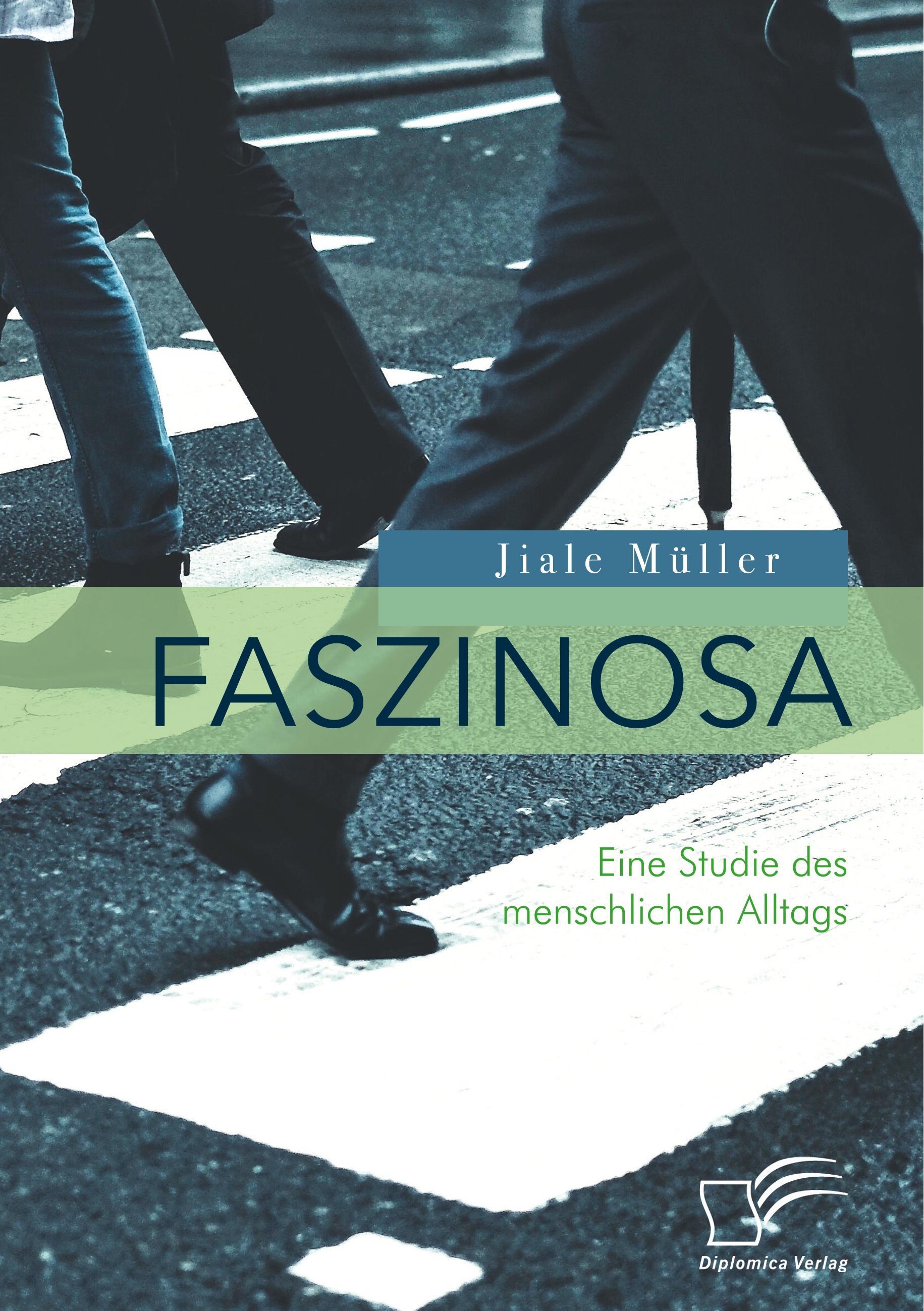 Faszinosa. Eine Studie des menschlichen Alltags