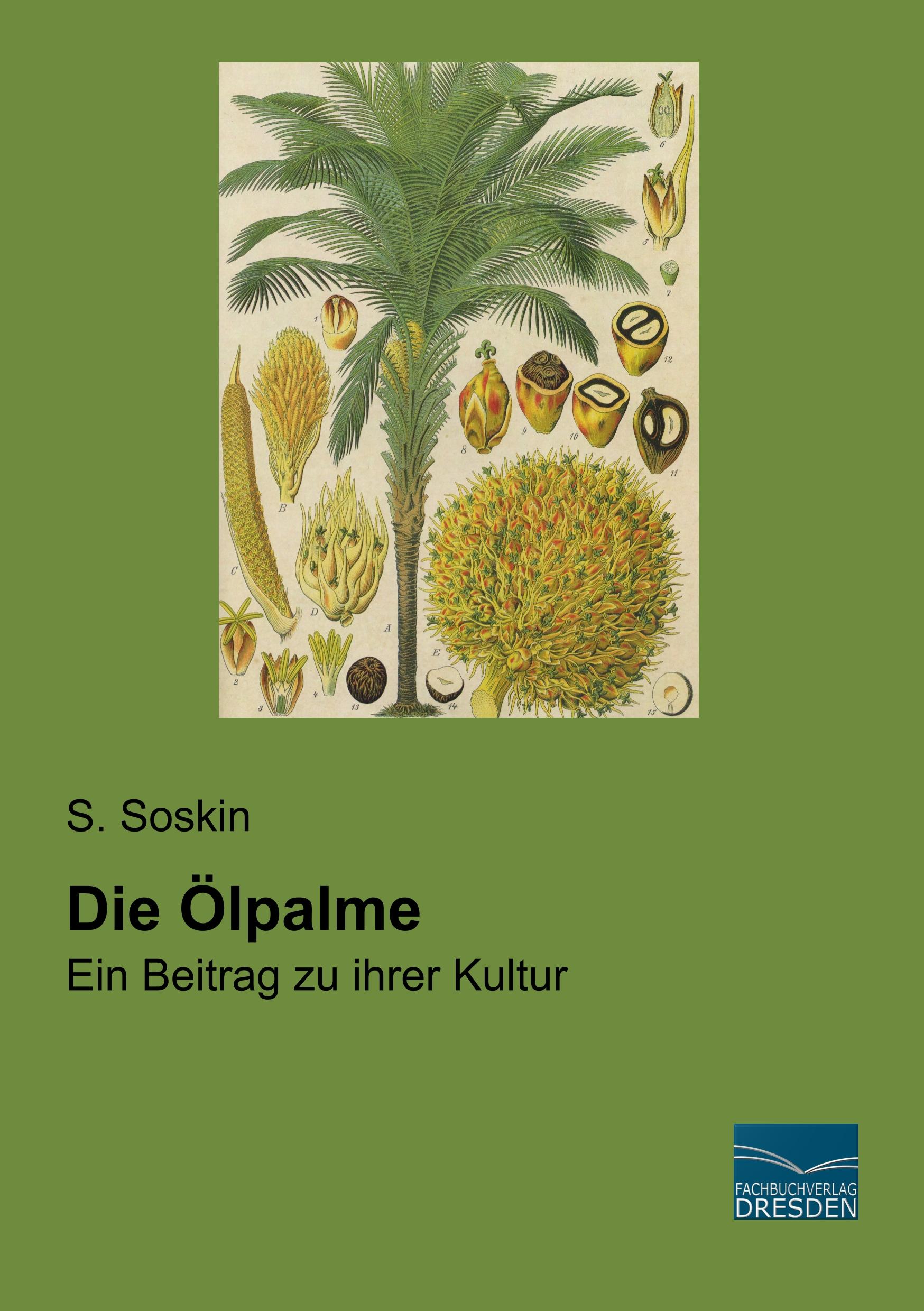 Die Ölpalme