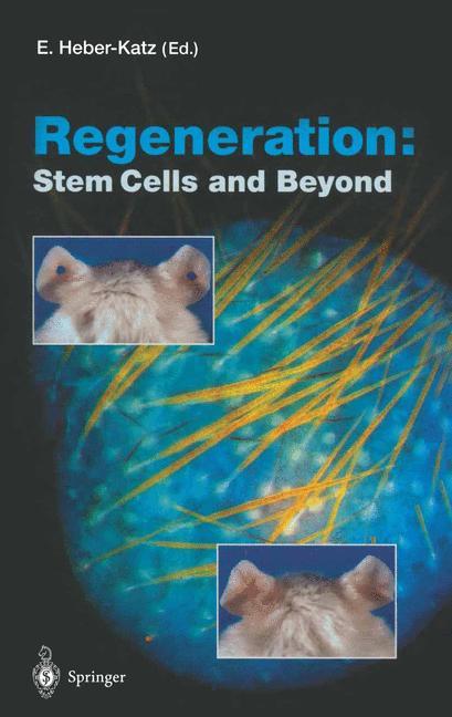 Regeneration: Stem Cells and Beyond