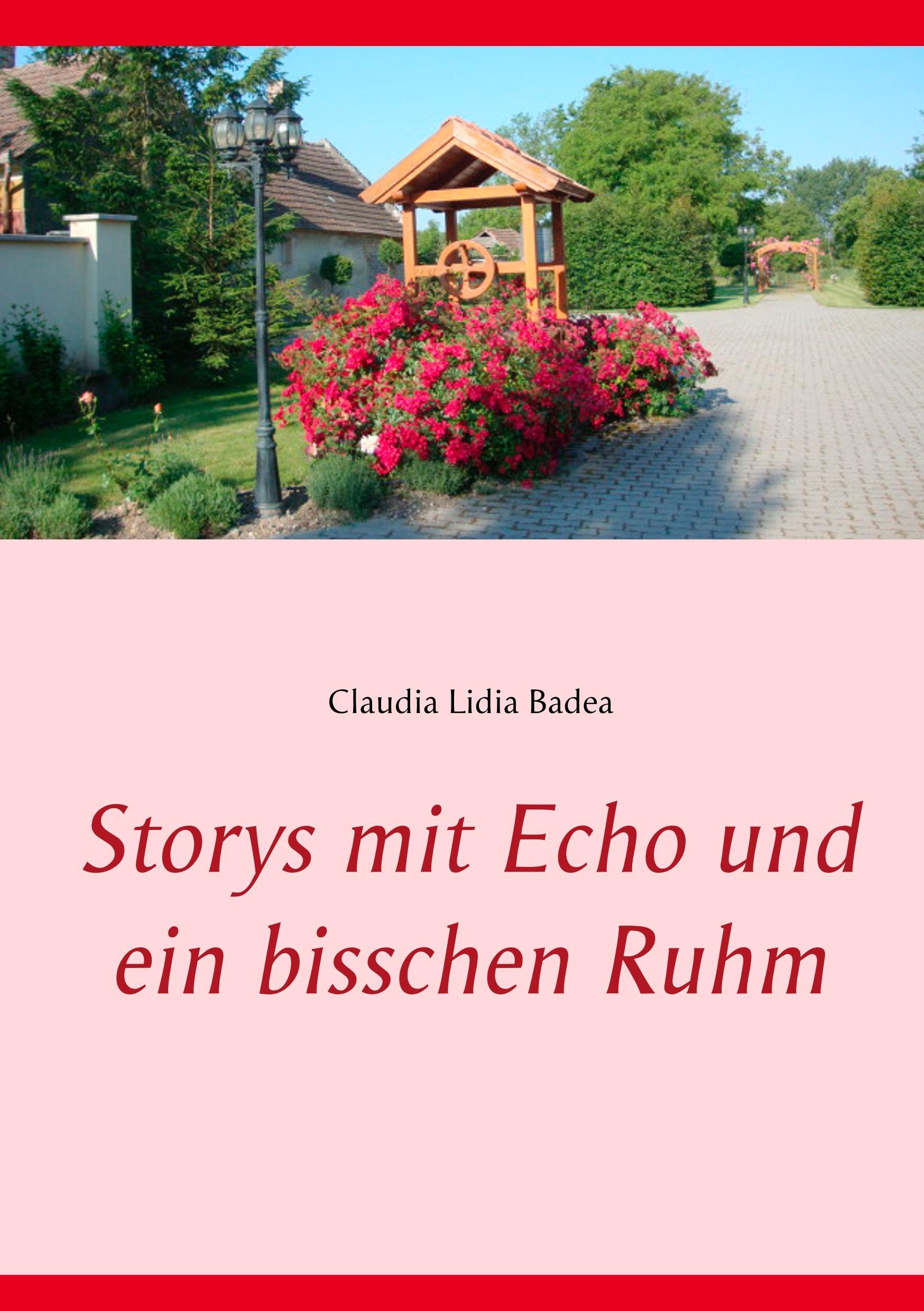 Storys mit Echo und ein bisschen Ruhm