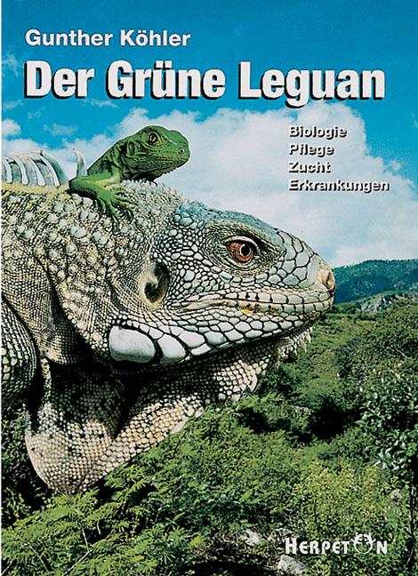 Der Grüne Leguan