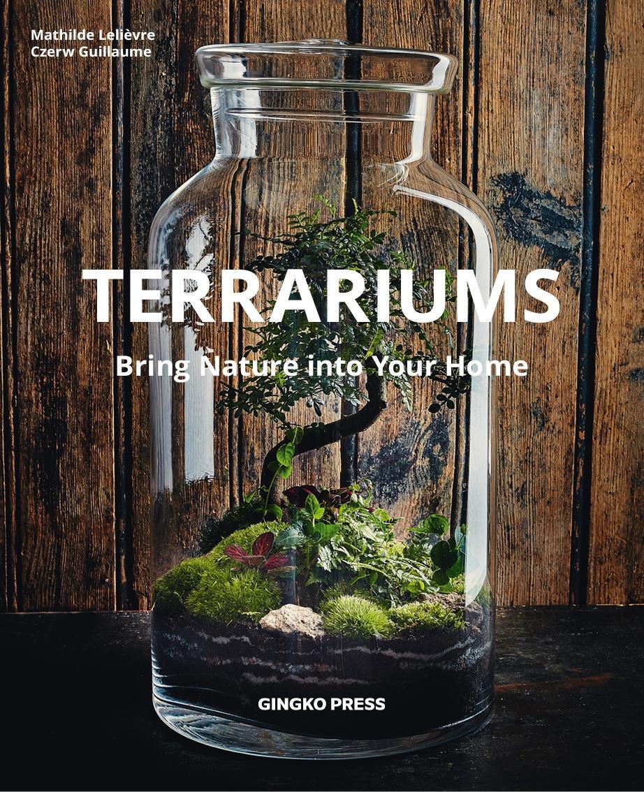 Terrariums: Bring Nature Into Your Home