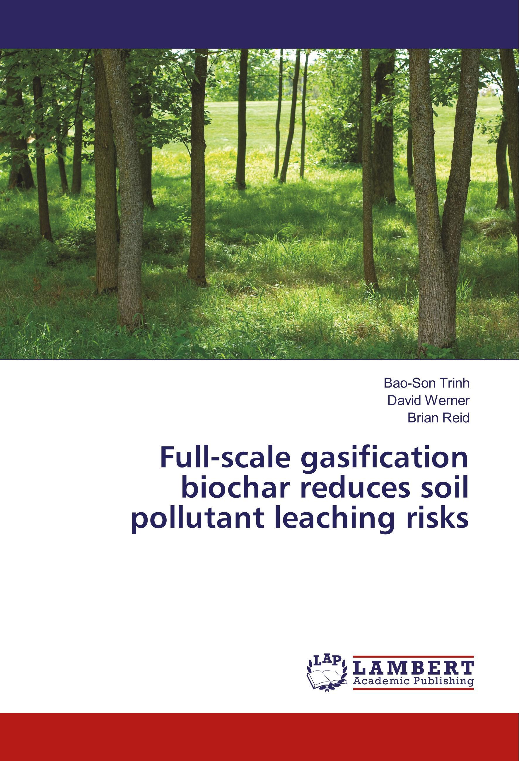 Full-scale gasification biochar reduces soil pollutant leaching risks