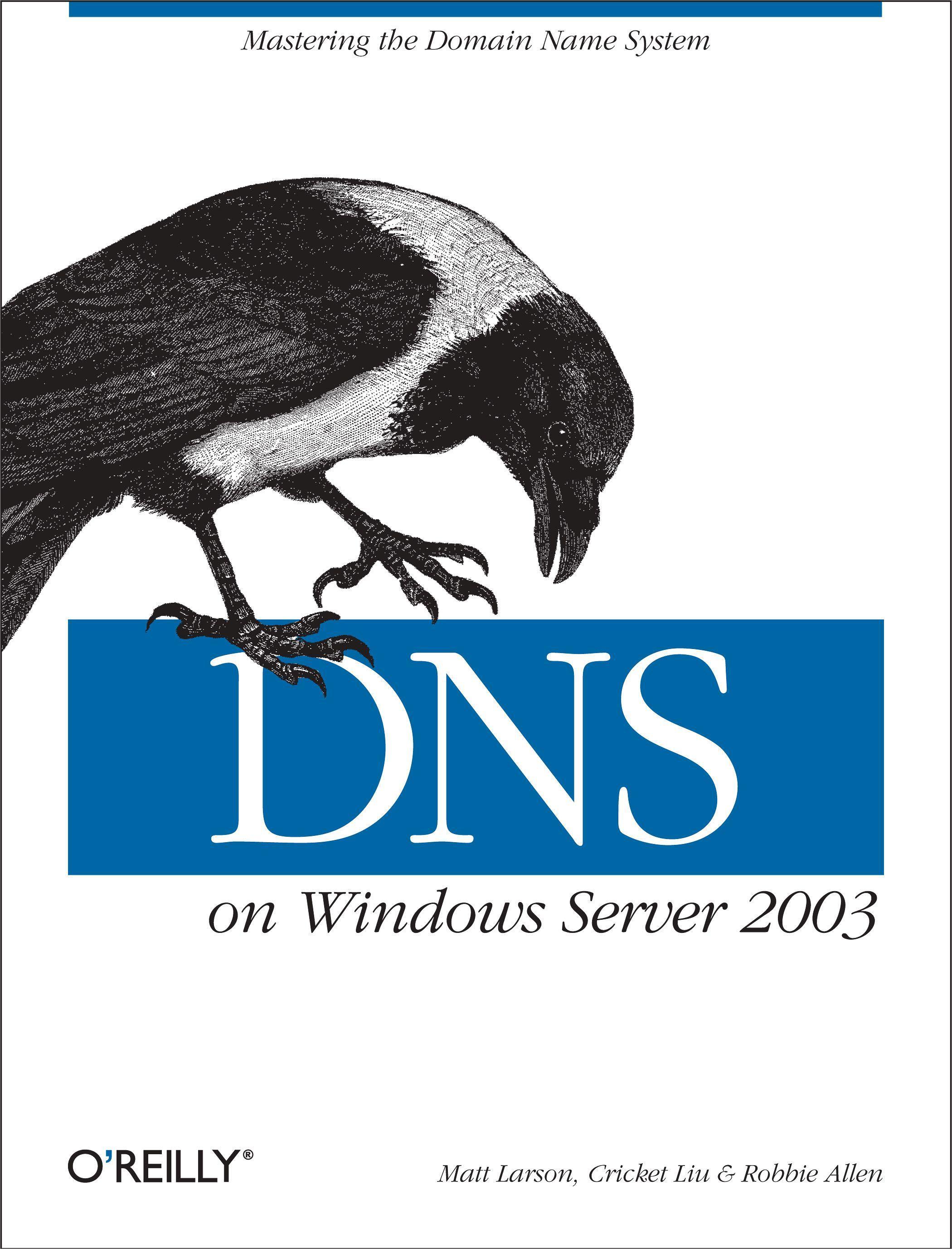 DNS on Windows Server 2003