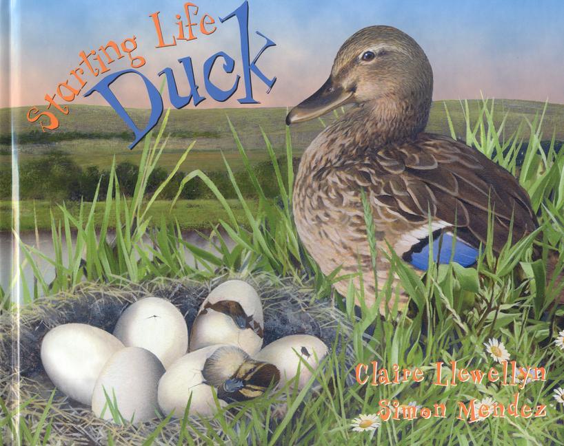 Starting Life: Duck