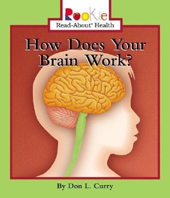 How Does Your Brain Work?