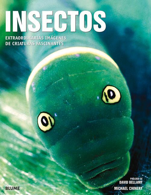 Insectos