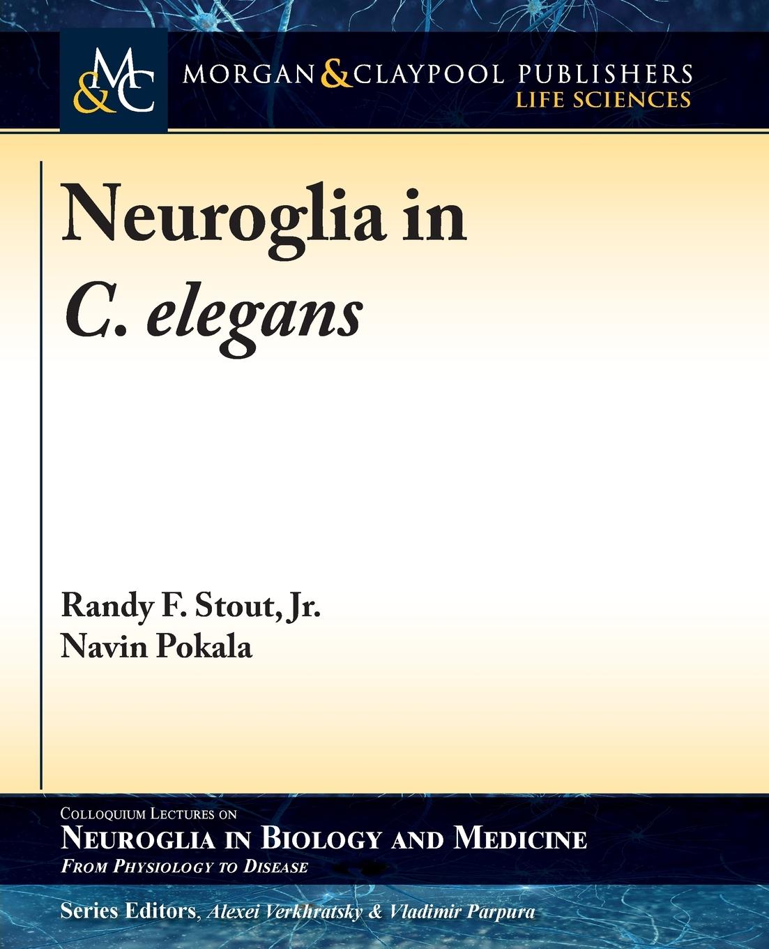 Neuroglia in C. elegans