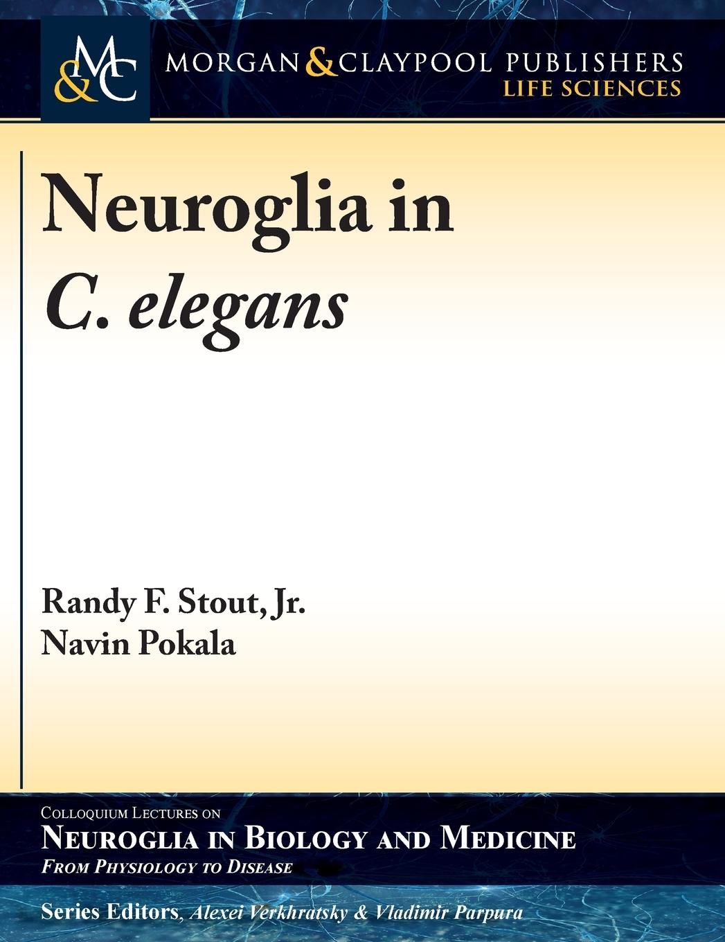 Neuroglia in C. elegans