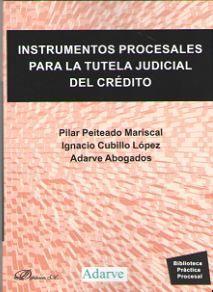 Instrumentos procesales para la tutela judicial del crédito