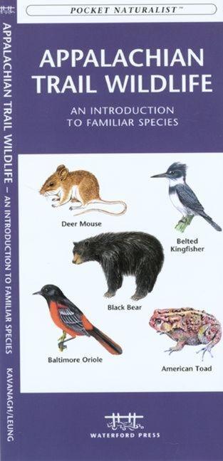 Golf Course Wildlife, Southern Arizona: A Folding Pocket Guide to Familiar Species