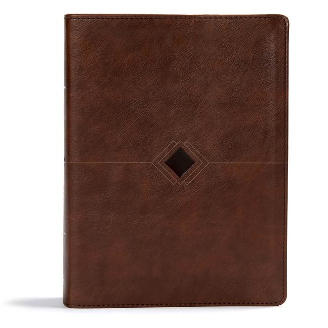 CSB Day-By-Day Chronological Bible, Brown Leathertouch