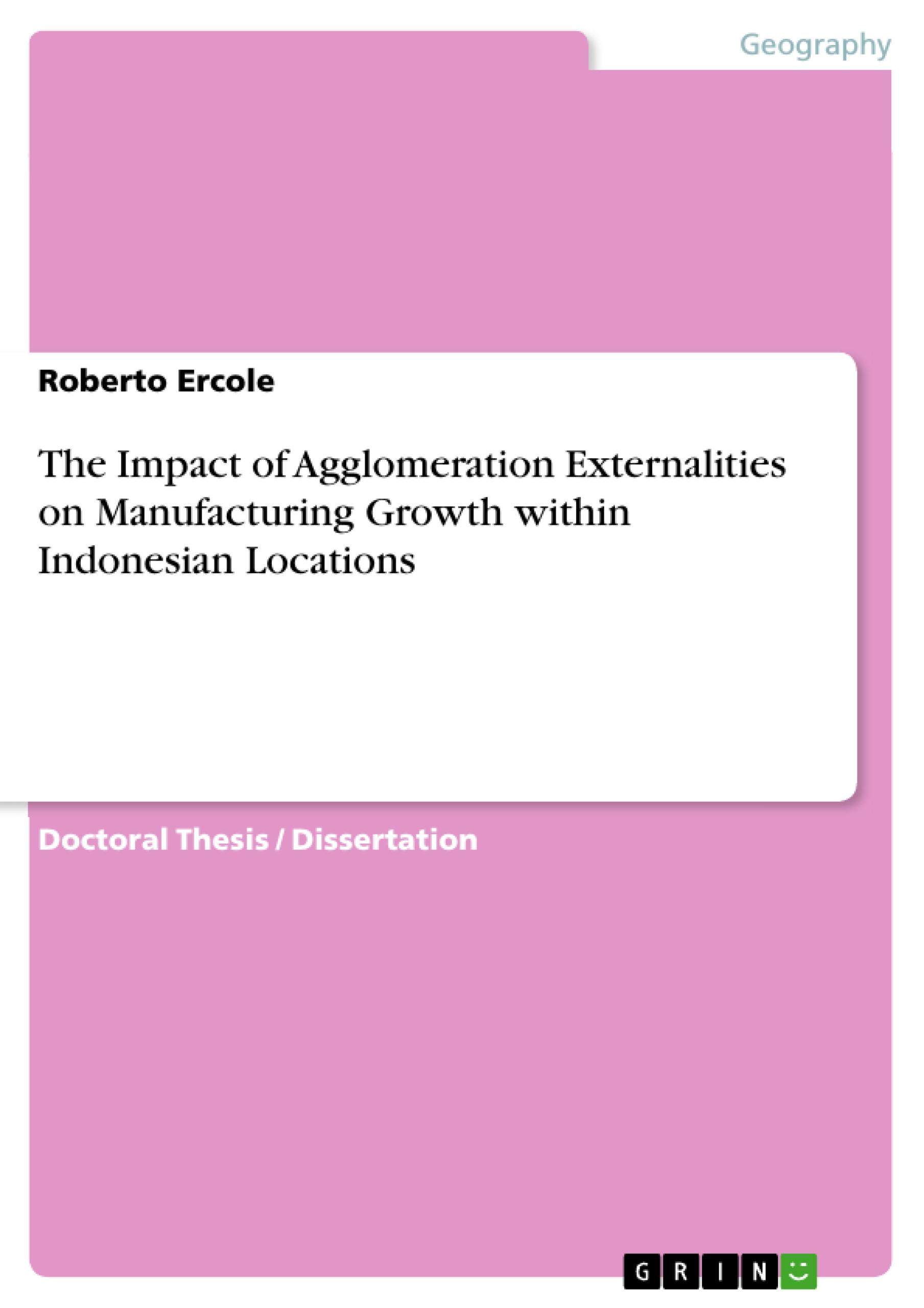 The Impact of Agglomeration Externalities on Manufacturing Growth within Indonesian Locations