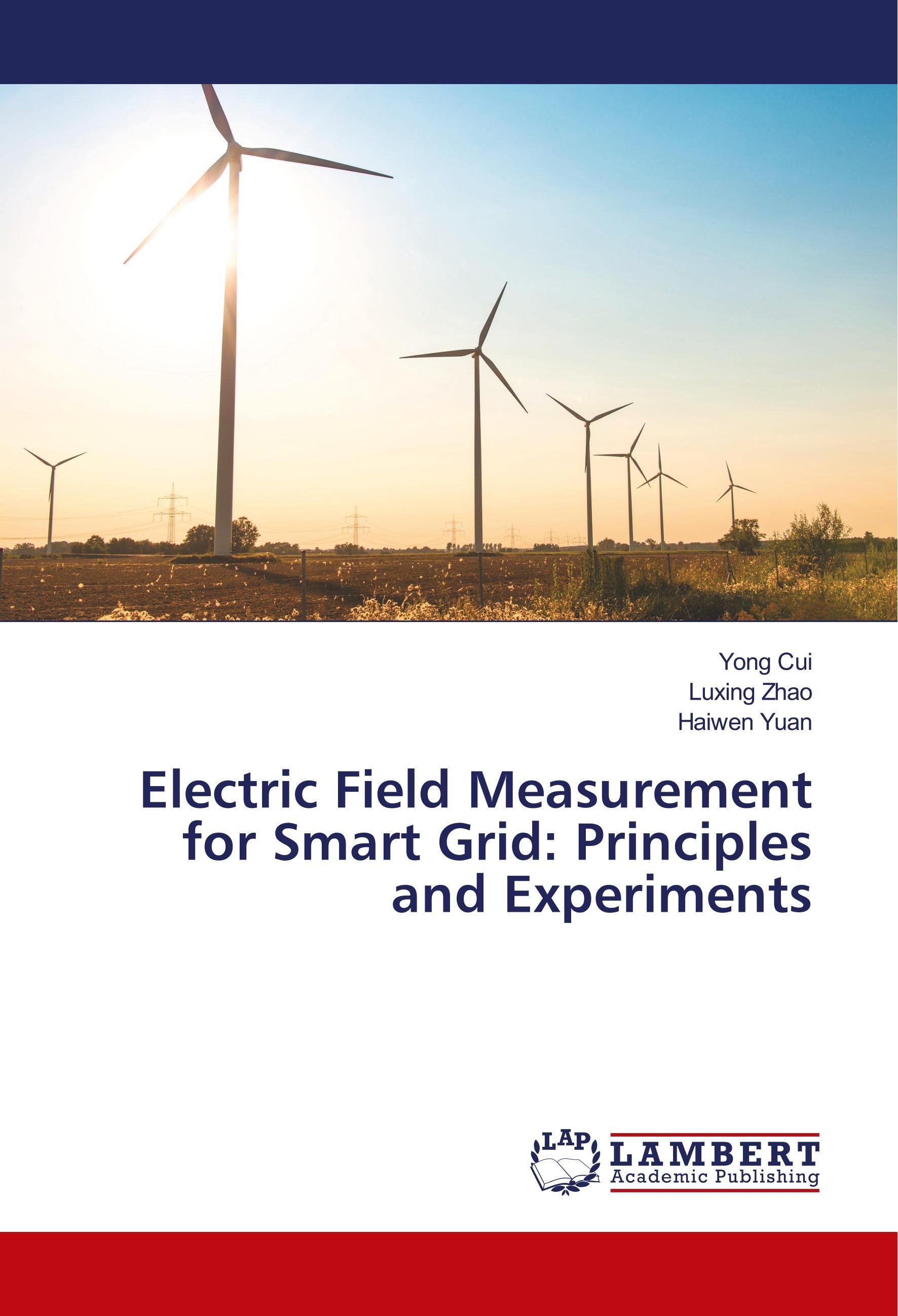 Electric Field Measurement for Smart Grid: Principles and Experiments