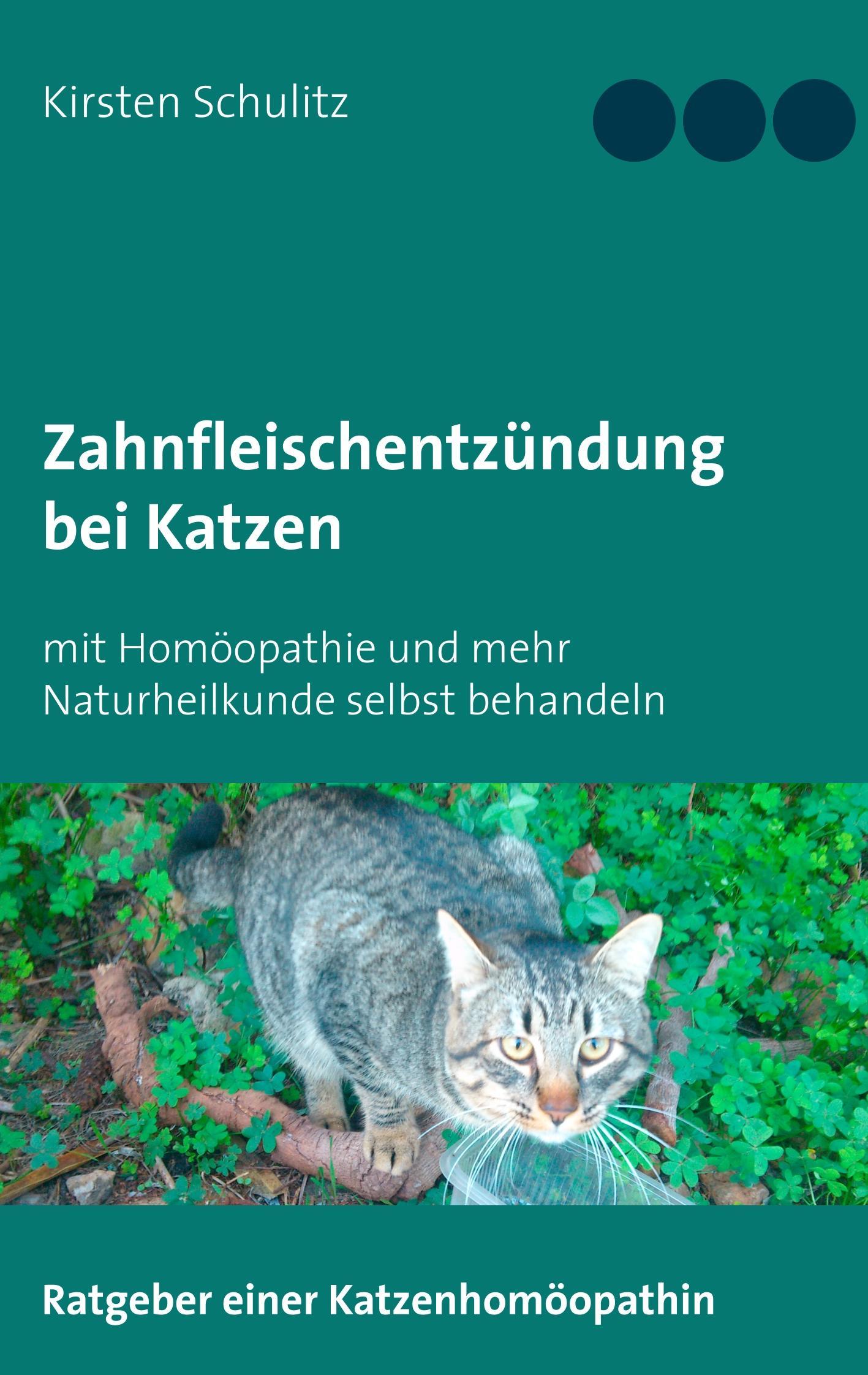 Zahnfleischentzündung bei Katzen