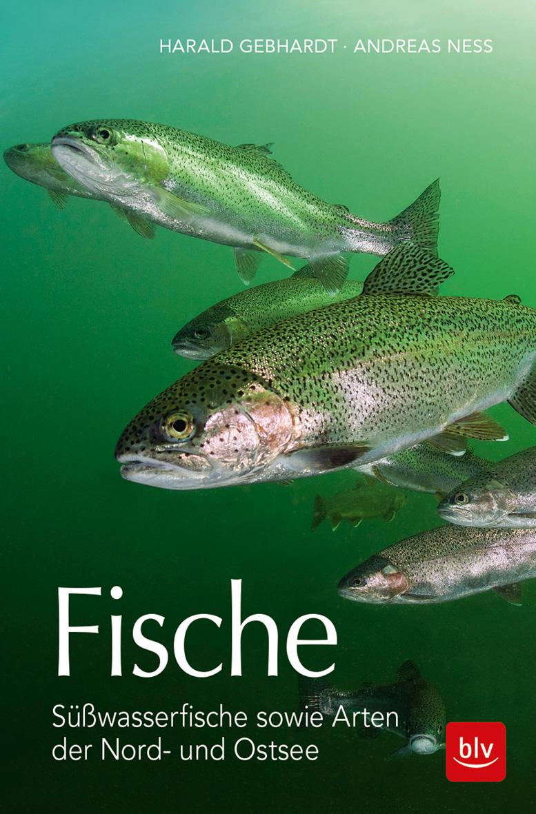 Fische