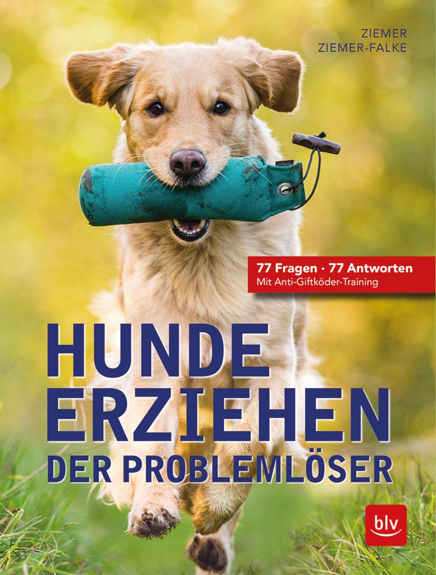 Hunde erziehen. Der Problemlöser