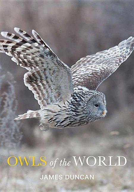 Owls of the World