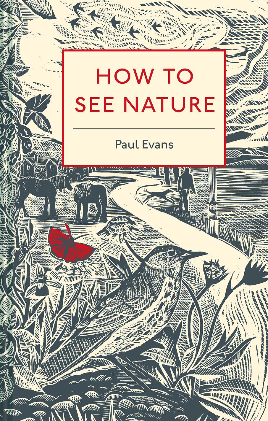 How to See Nature