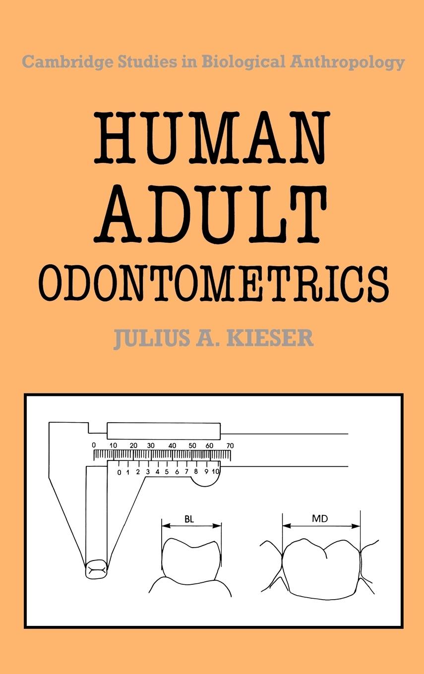 Human Adult Odontometrics