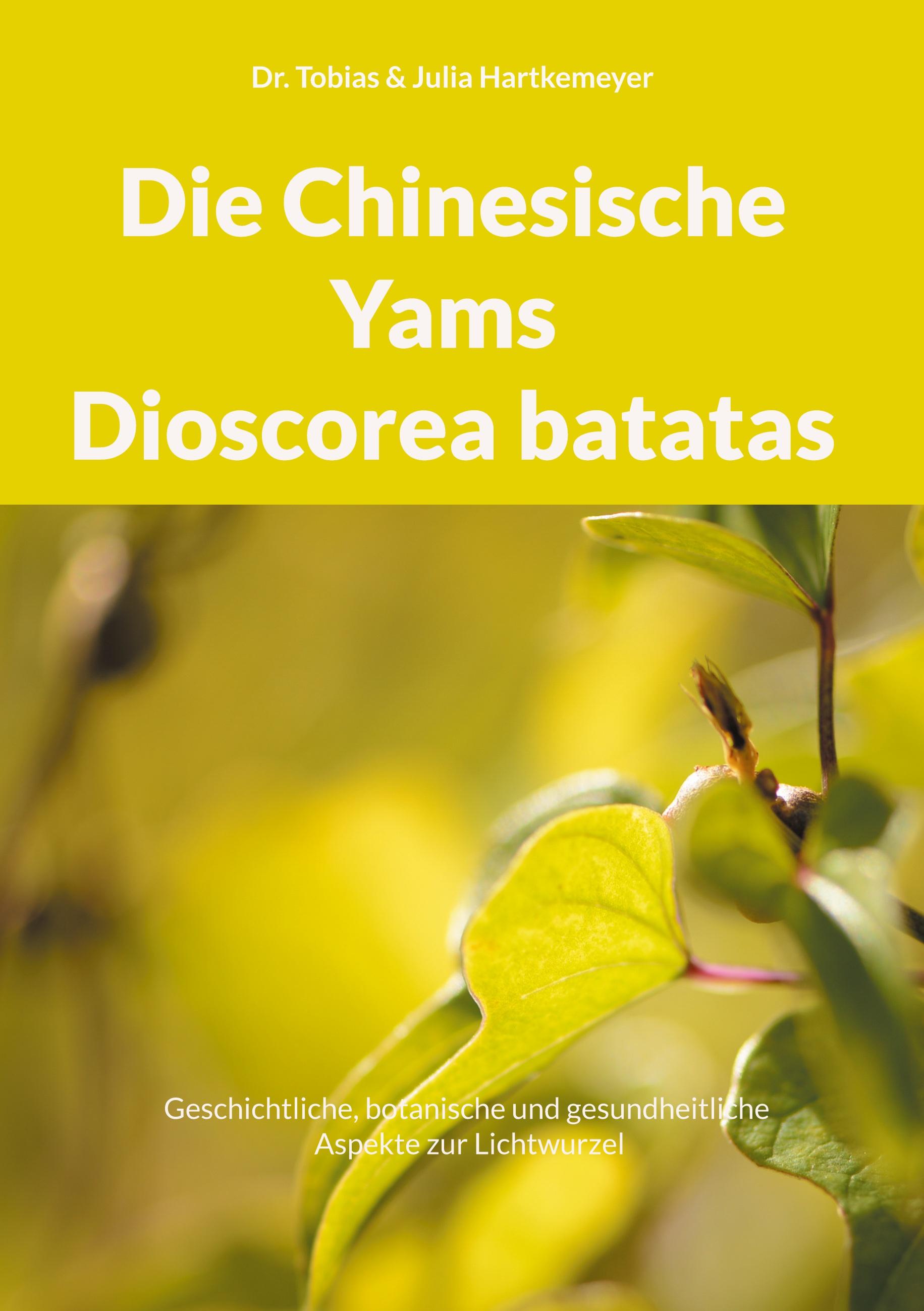 Die Chinesische Yams Dioscorea batatas