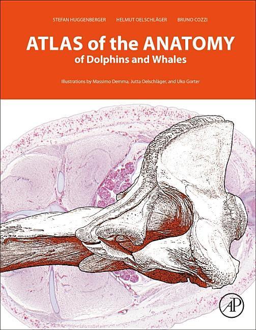 Atlas of the Anatomy of Dolphins and Whales