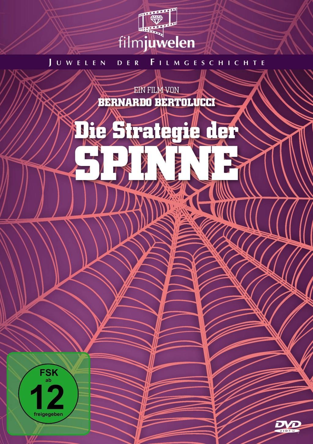 Die Strategie der Spinne