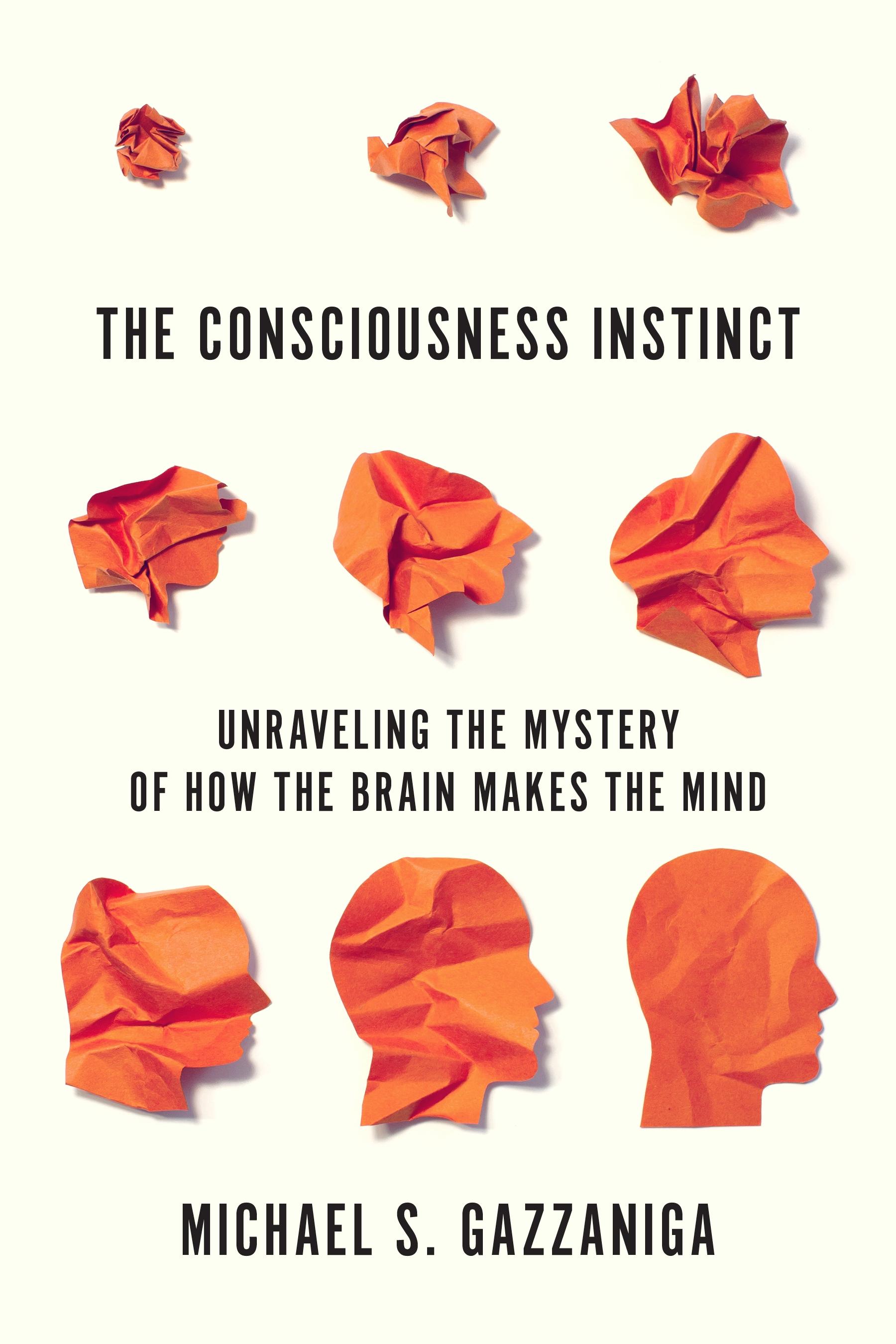 The Consciousness Instinct