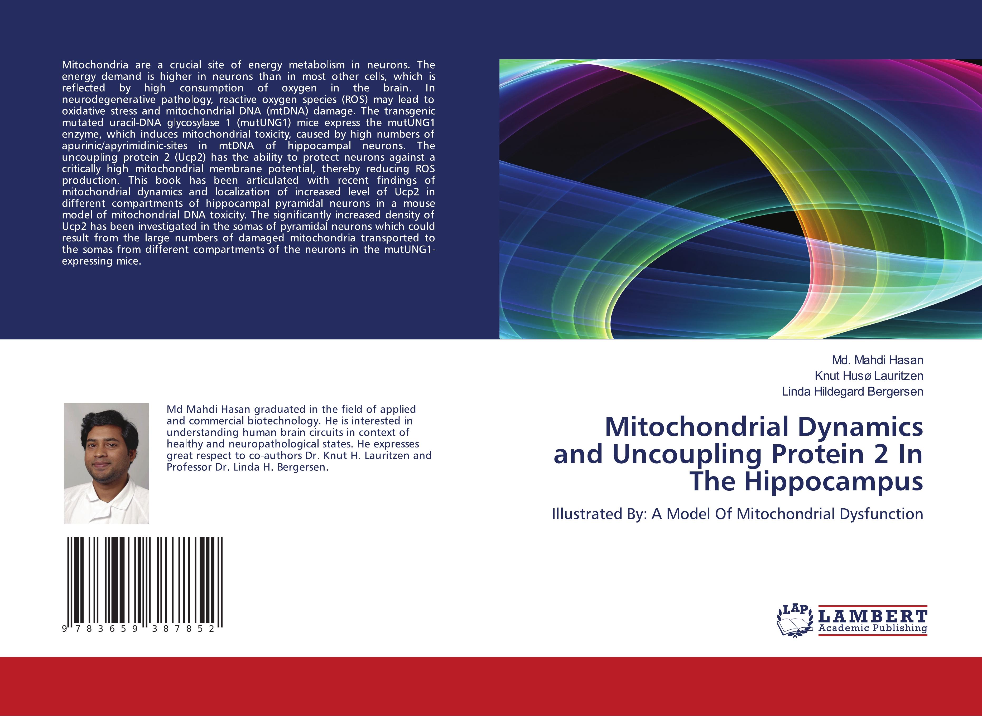 Mitochondrial Dynamics and Uncoupling Protein 2 In The Hippocampus