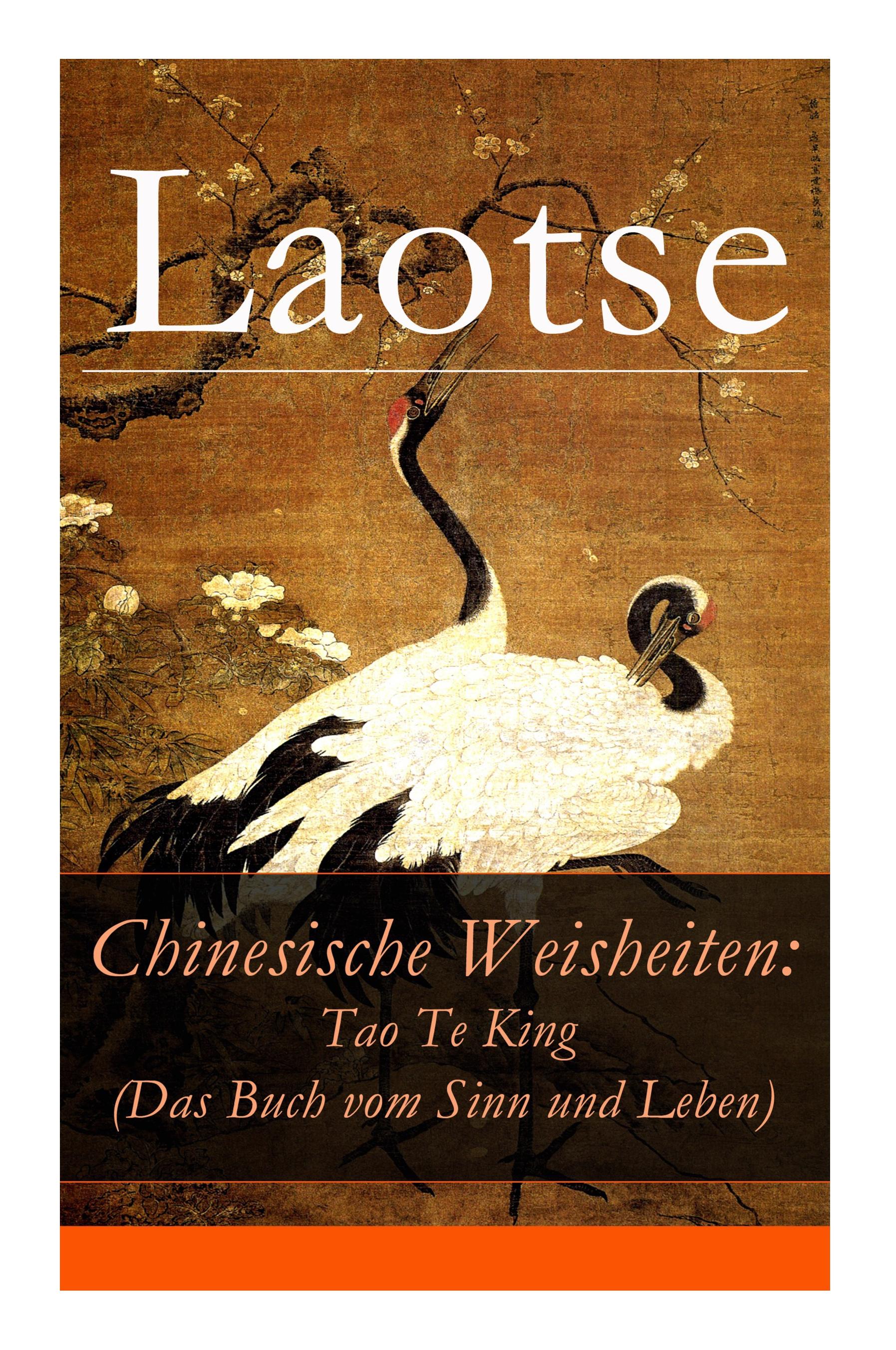 Chinesische Weisheiten: Tao Te King (Das Buch vom Sinn und Leben): Laozi: Daodejing