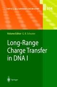 Long-Range Charge Transfer in DNA I