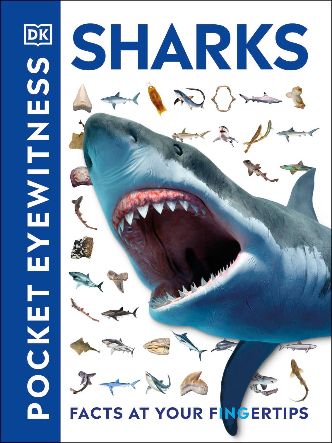 Pocket Eyewitness Sharks