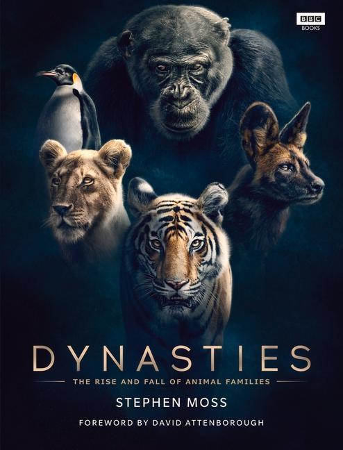 Dynasties