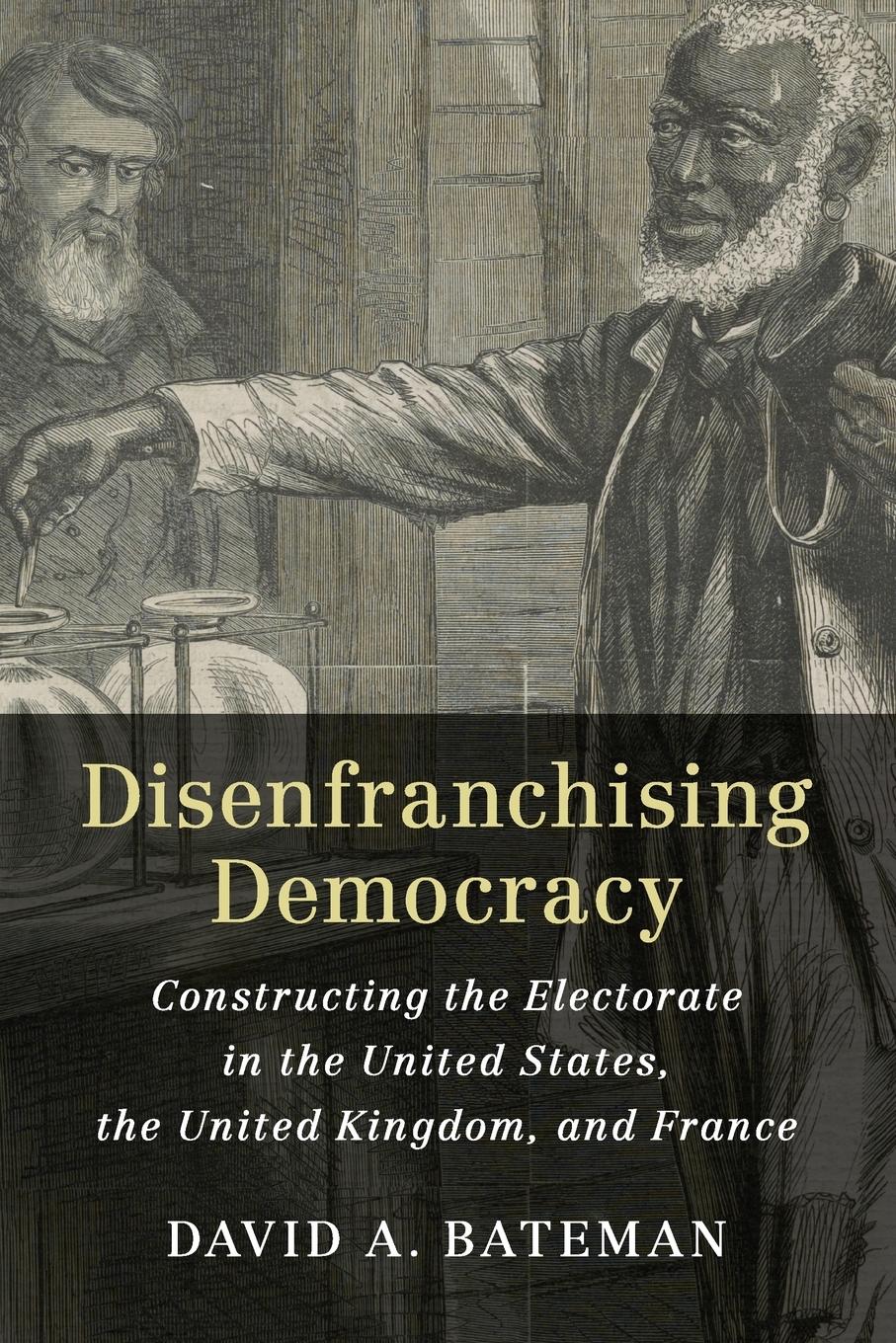 Disenfranchising Democracy