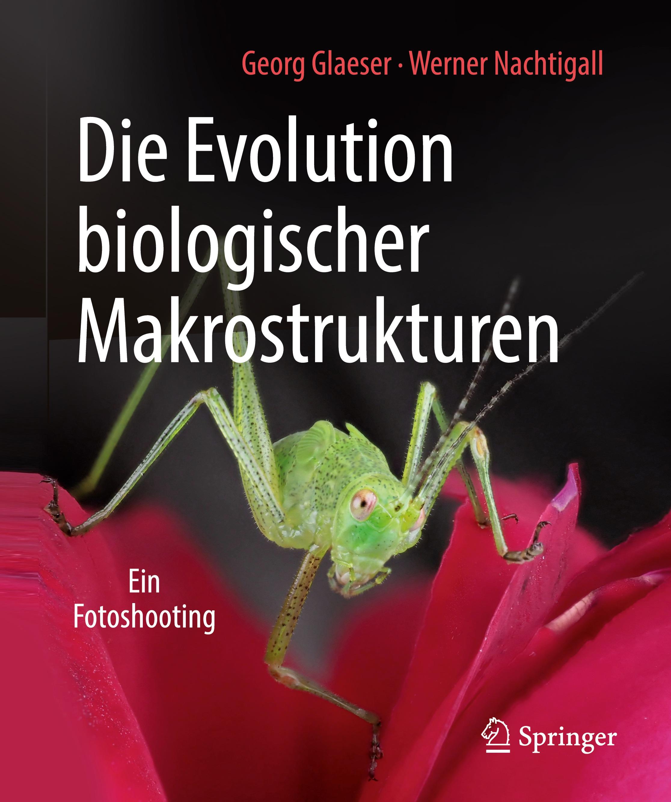 Die Evolution biologischer Makrostrukturen