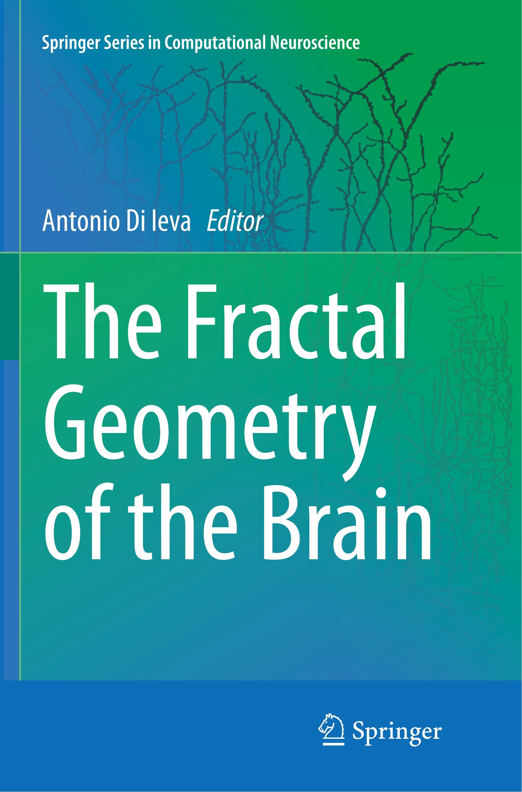 The Fractal Geometry of the Brain