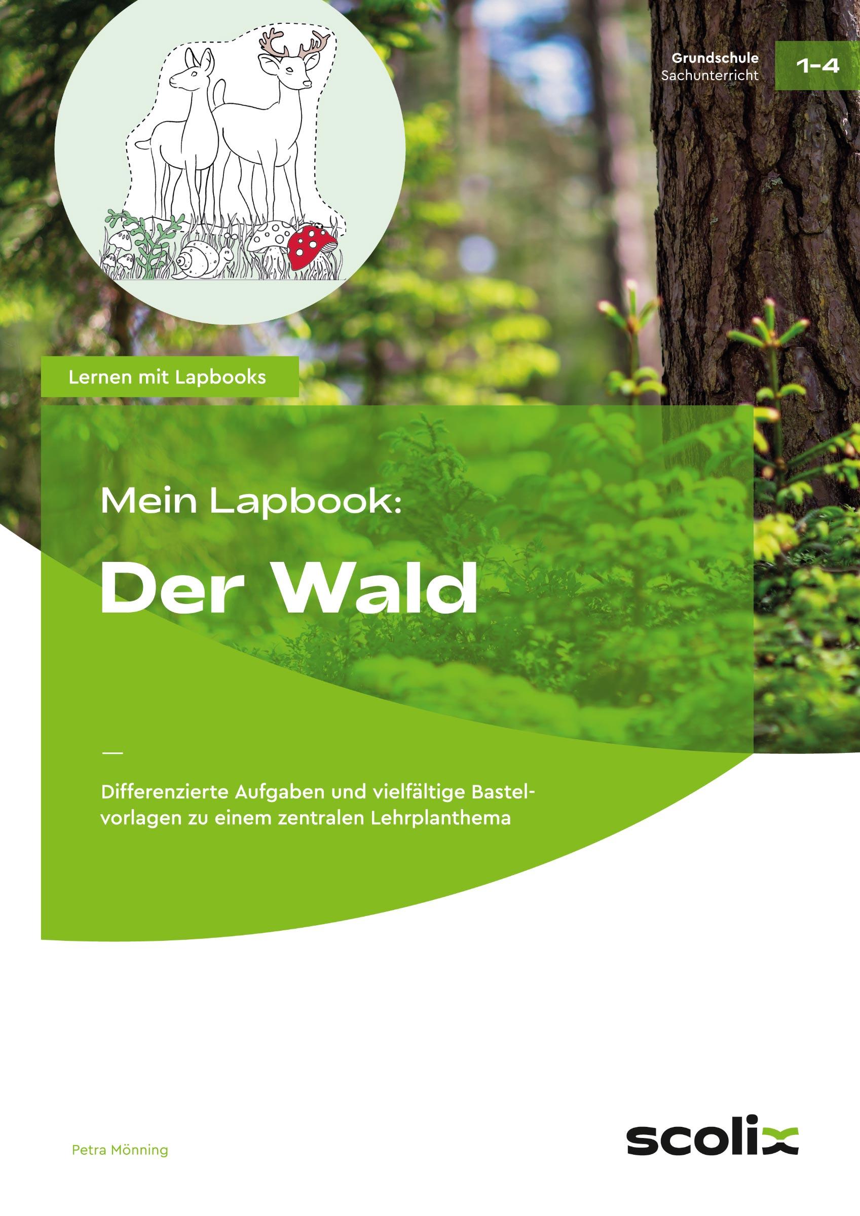 Mein Lapbook: Der Wald