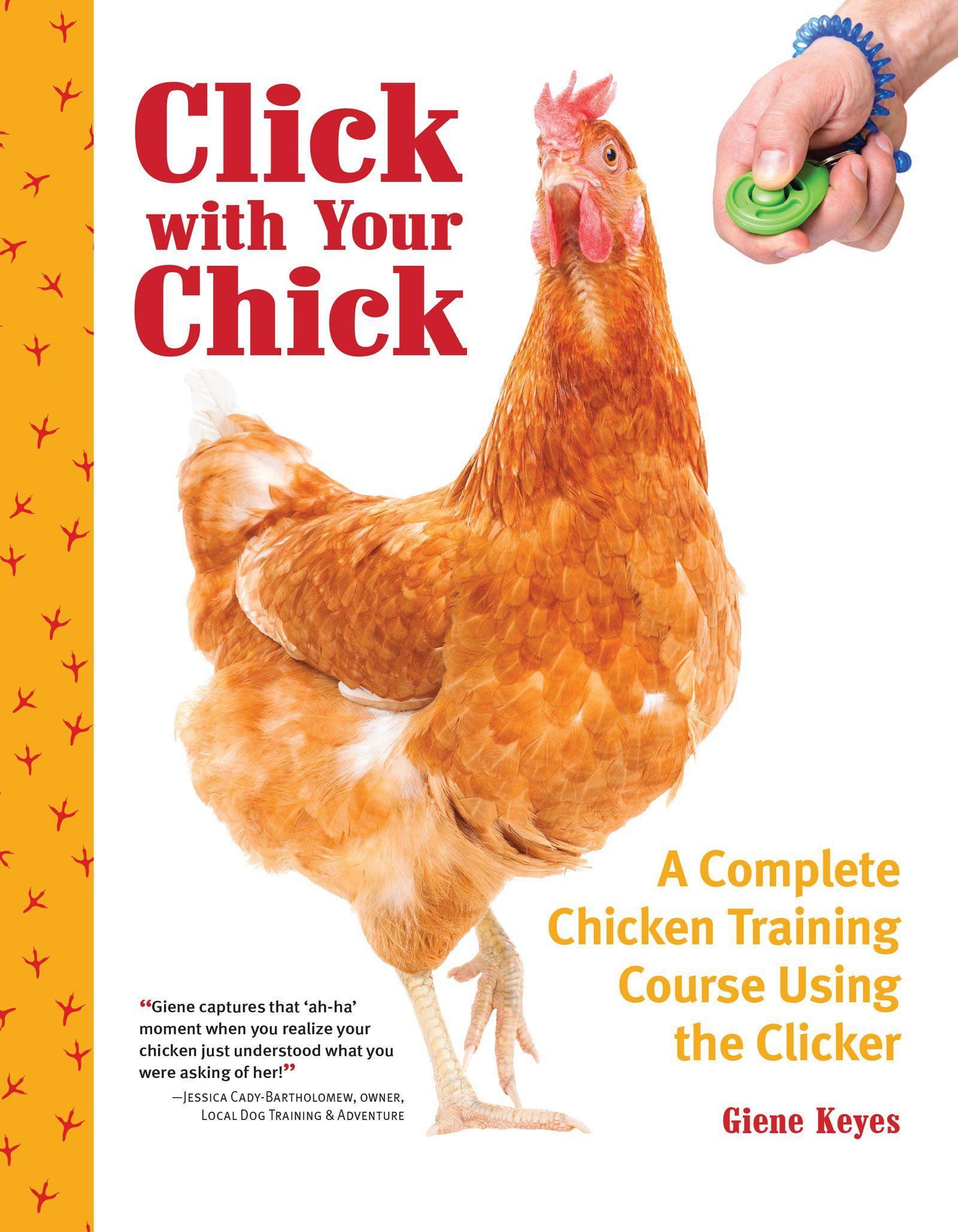 Click with Your Chick