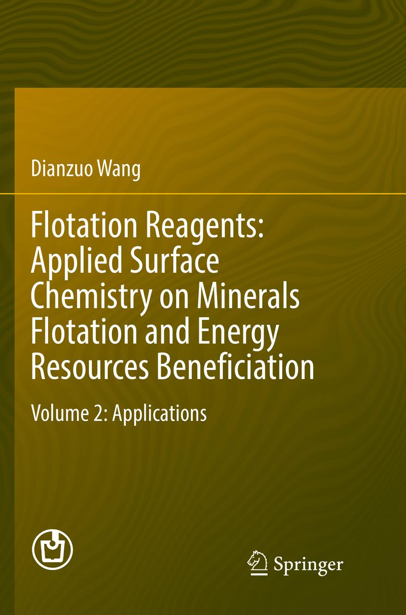 Flotation Reagents: Applied Surface Chemistry on Minerals Flotation and Energy Resources Beneficiation