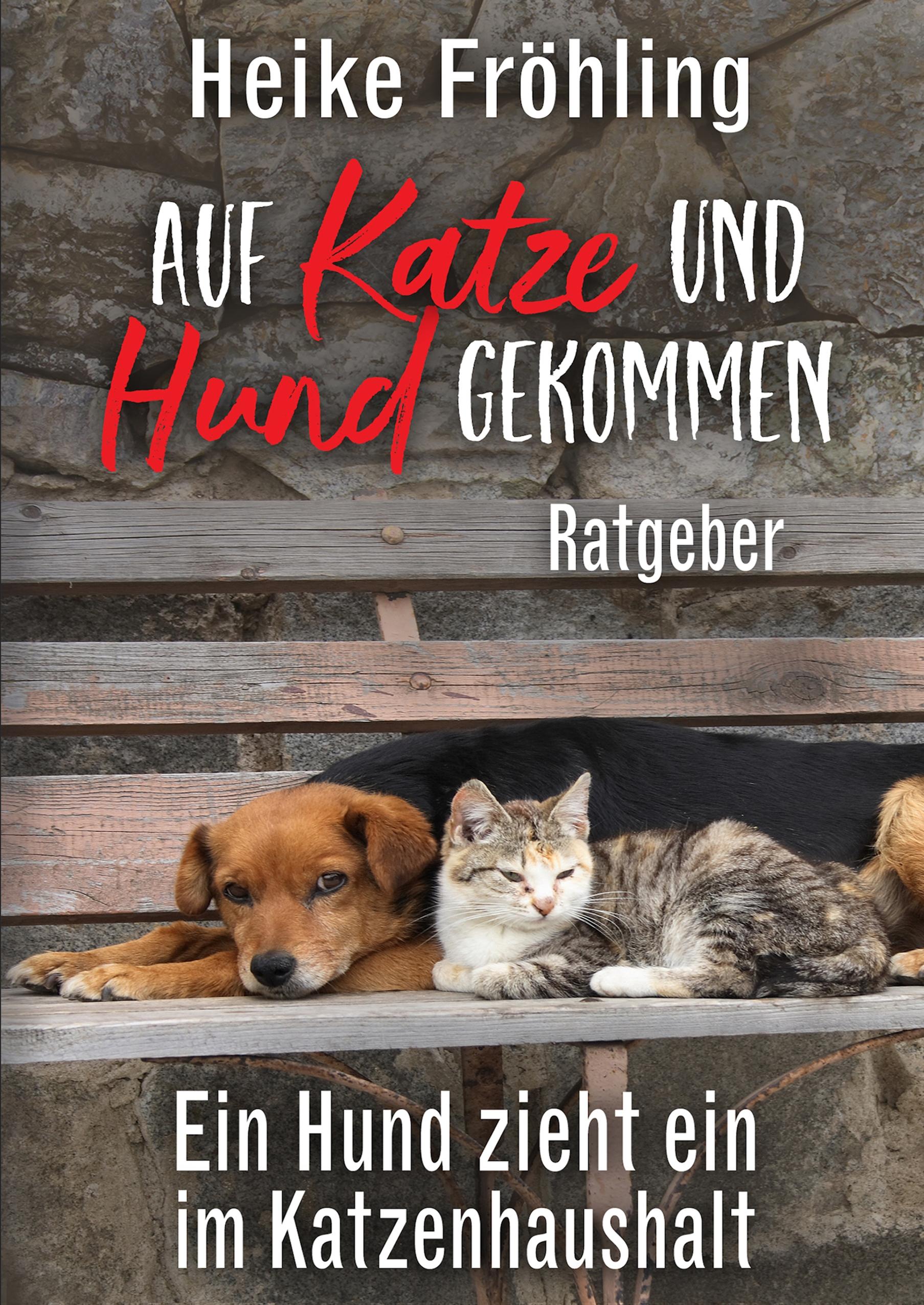 Auf Katze und Hund gekommen