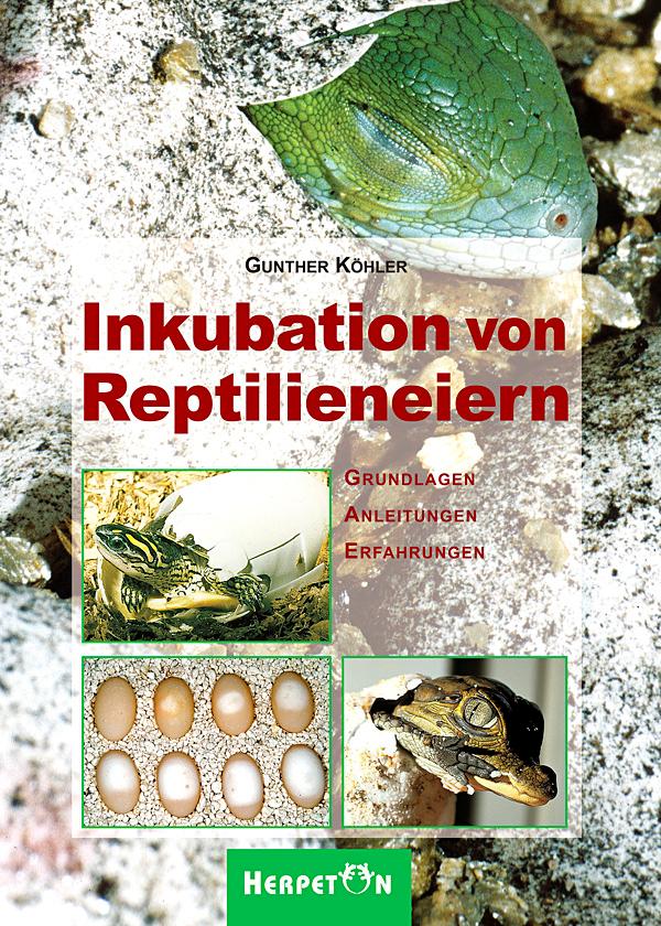 Inkubation von Reptilieneiern