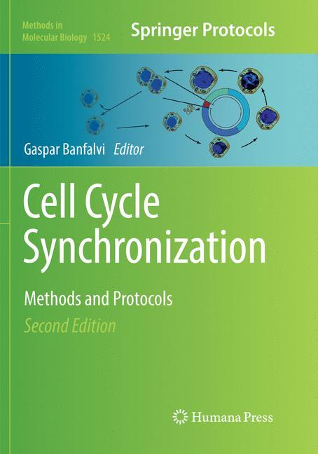 Cell Cycle Synchronization