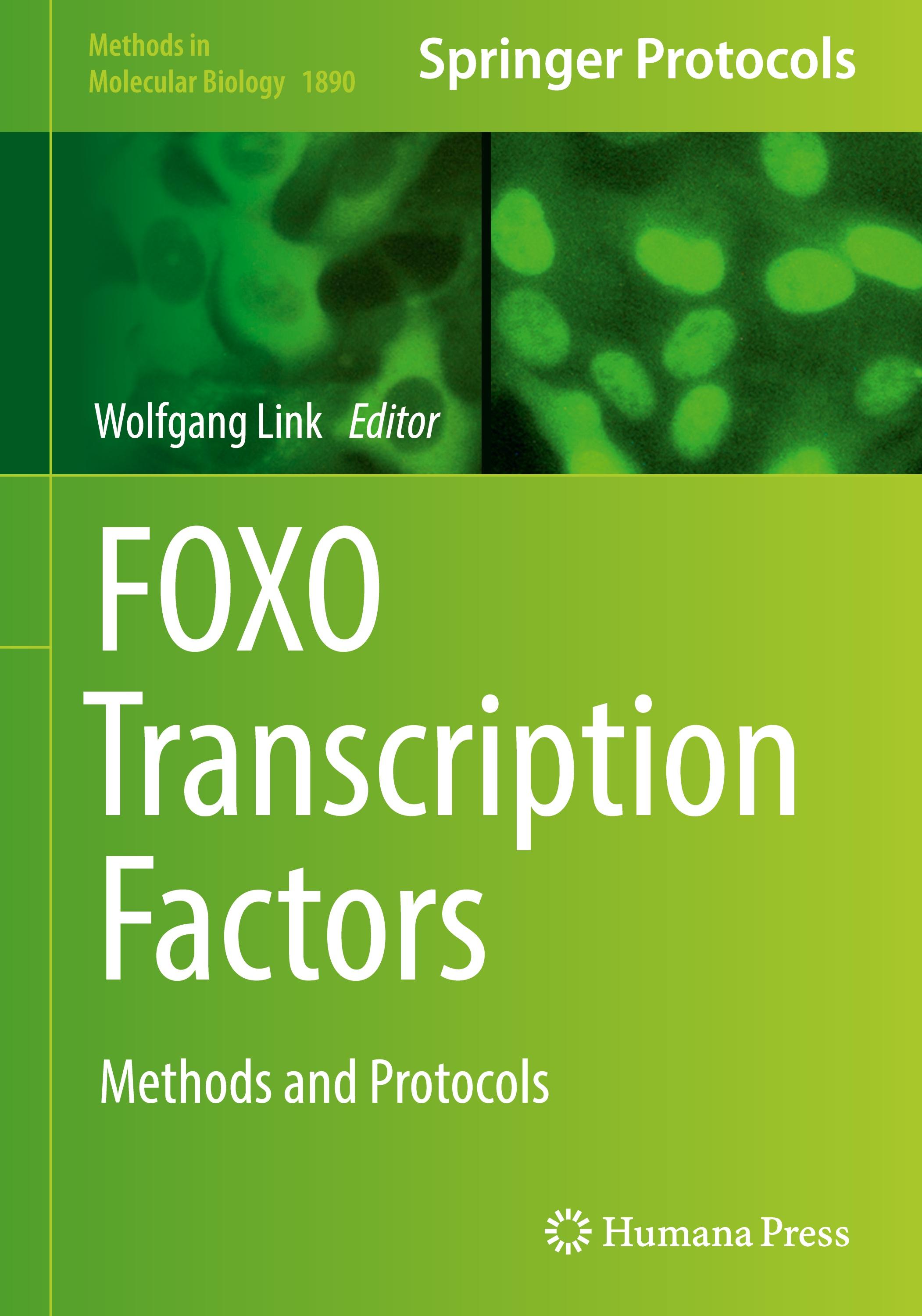 FOXO Transcription Factors