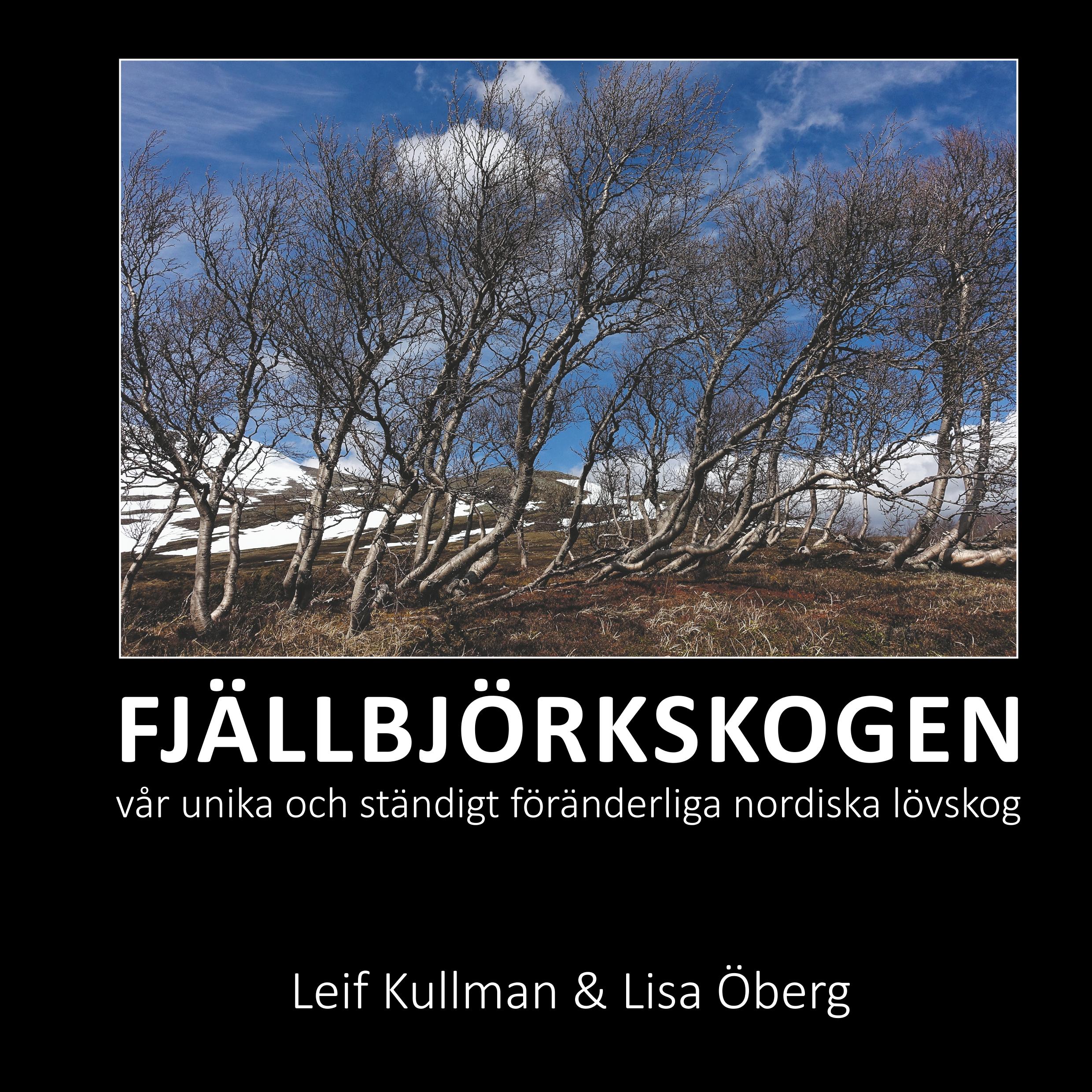 Fjällbjörksskogen