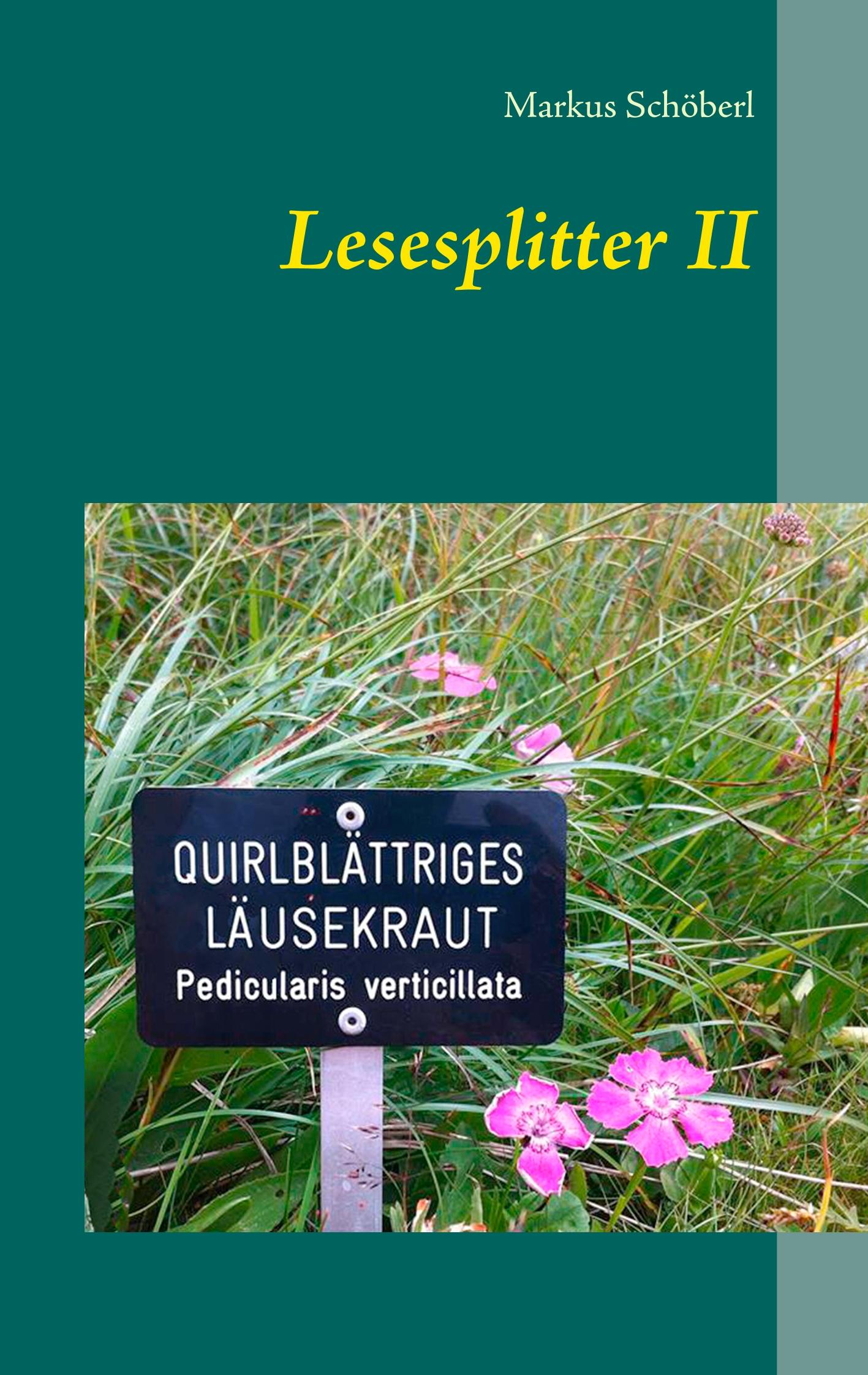 Lesesplitter II