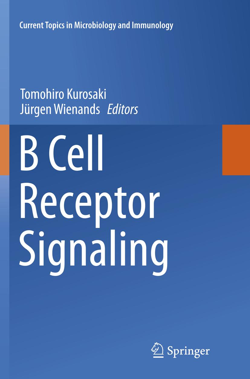 B Cell Receptor Signaling