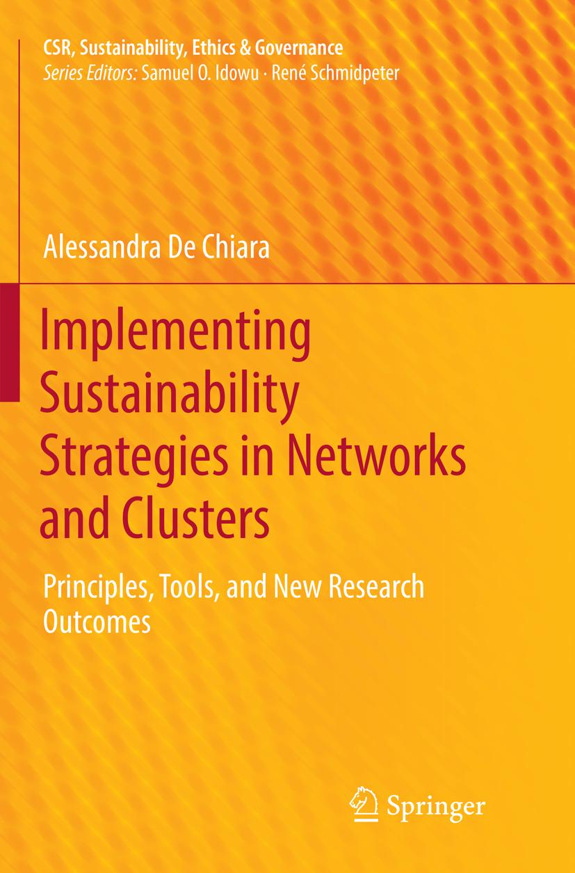 Implementing Sustainability Strategies in Networks and Clusters