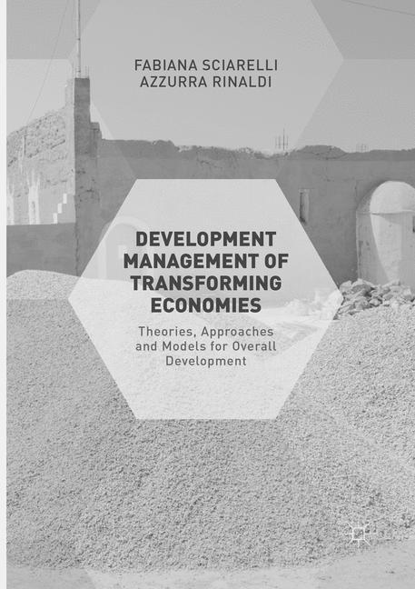 Development Management of Transforming Economies