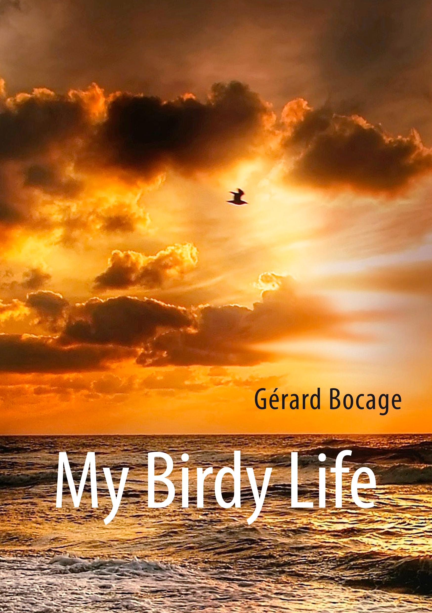 My Birdy Life